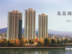 伍家岗区伍家岗区龙盘湖龙岛壹号楼盘新房真实图片