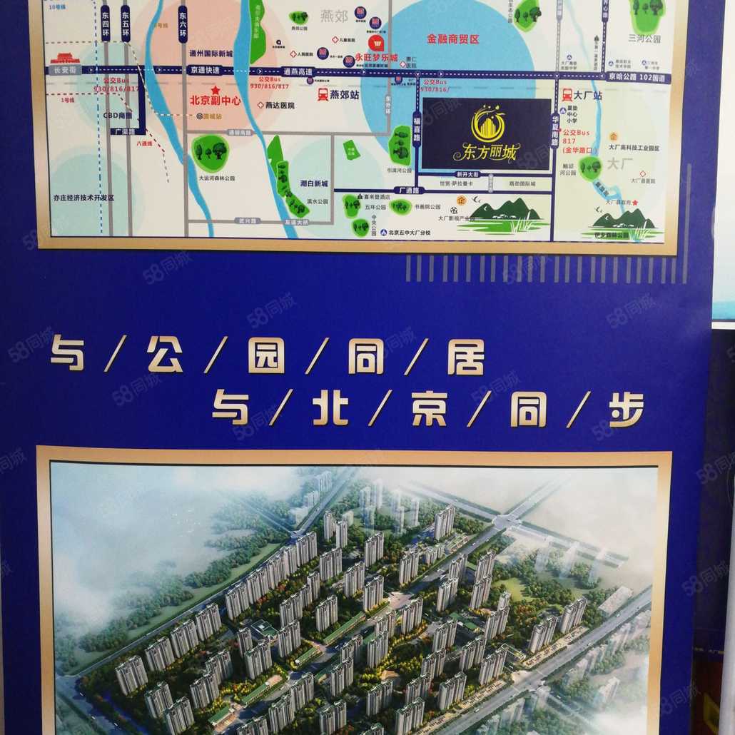 东方丽城位置图片