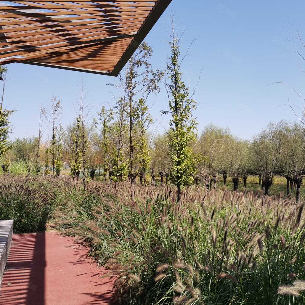 张安联系电话_置业顾问销售张安发布的沣西逸园楼盘动态-58同城