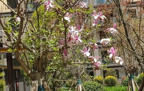 小区一角展示
