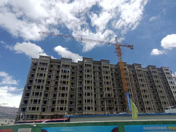 阿里安居工程进度现场