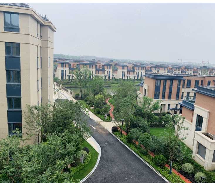 张艳联系电话_置业顾问销售张艳发布的上实滨湖城海上湾鹭居楼盘动态