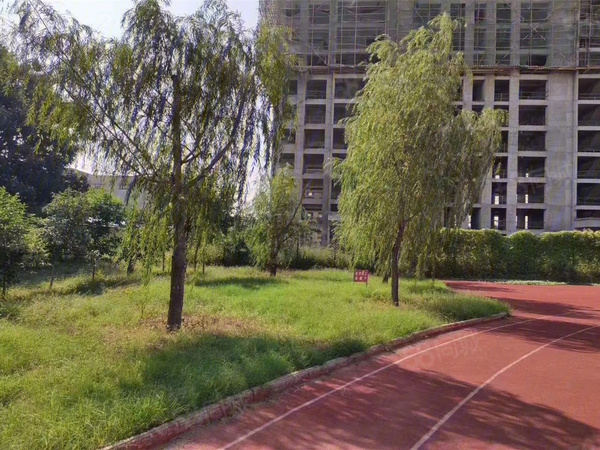 龙门云溪学府楼盘现场环境