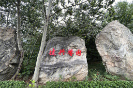 岱岳区粥店街道建兴馨园楼盘新房真实图片