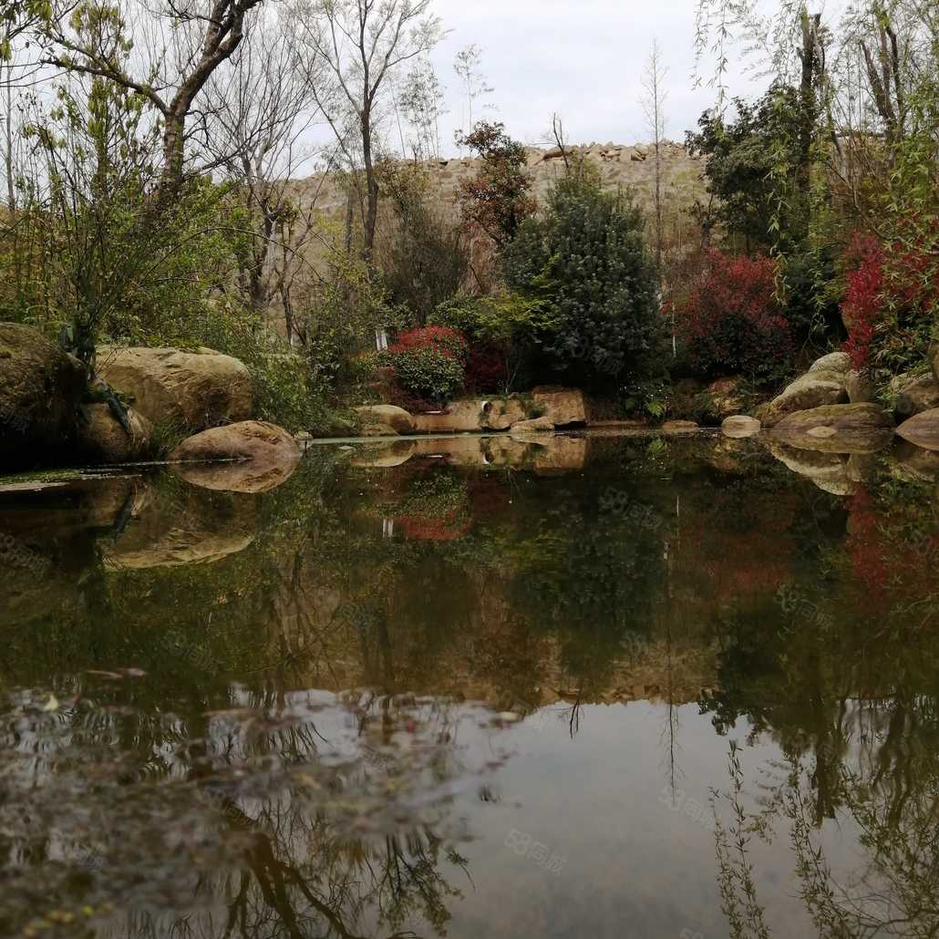 黎琴联系电话_置业顾问销售黎琴发布的华宸龙隐山楼盘动态-58同城