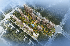 耒阳耒阳愿景铂悦府楼盘新房真实图片