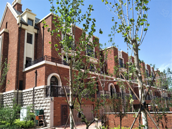 西海英郡楼盘现场环境