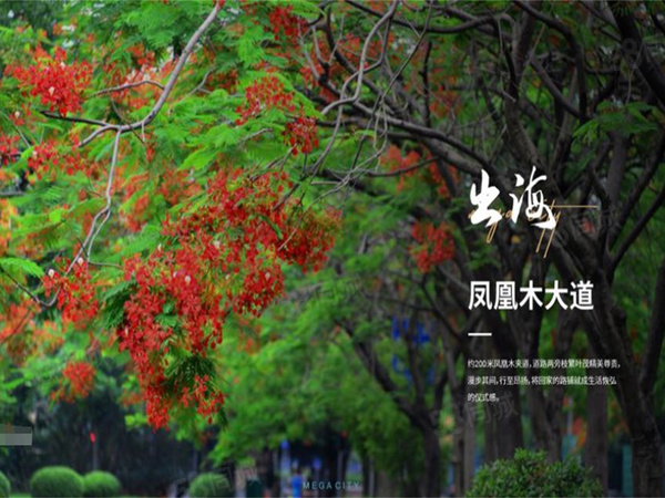 宏居花园楼盘周边配套