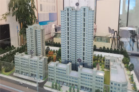 泰山区岱庙街道中悦城二期楼盘新房真实图片