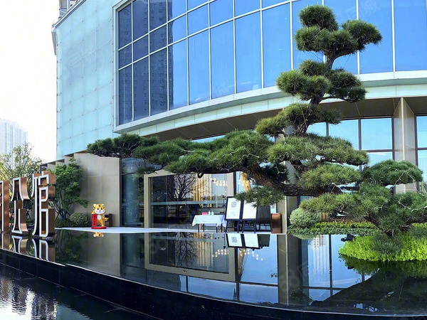 日月公馆楼盘现场环境