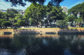 荔湾区中山八路越秀·珑悦西关楼盘新房真实图片