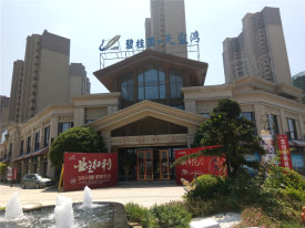 安源区安源区碧桂园·天玺湾楼盘新房真实图片