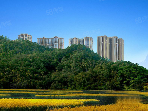 水映山,上海水映山房價,,水映山物業,戶型圖,周邊配套和交通詳情_上海