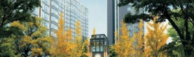 崆峒区崆峒区世纪花园D区楼盘新房真实图片