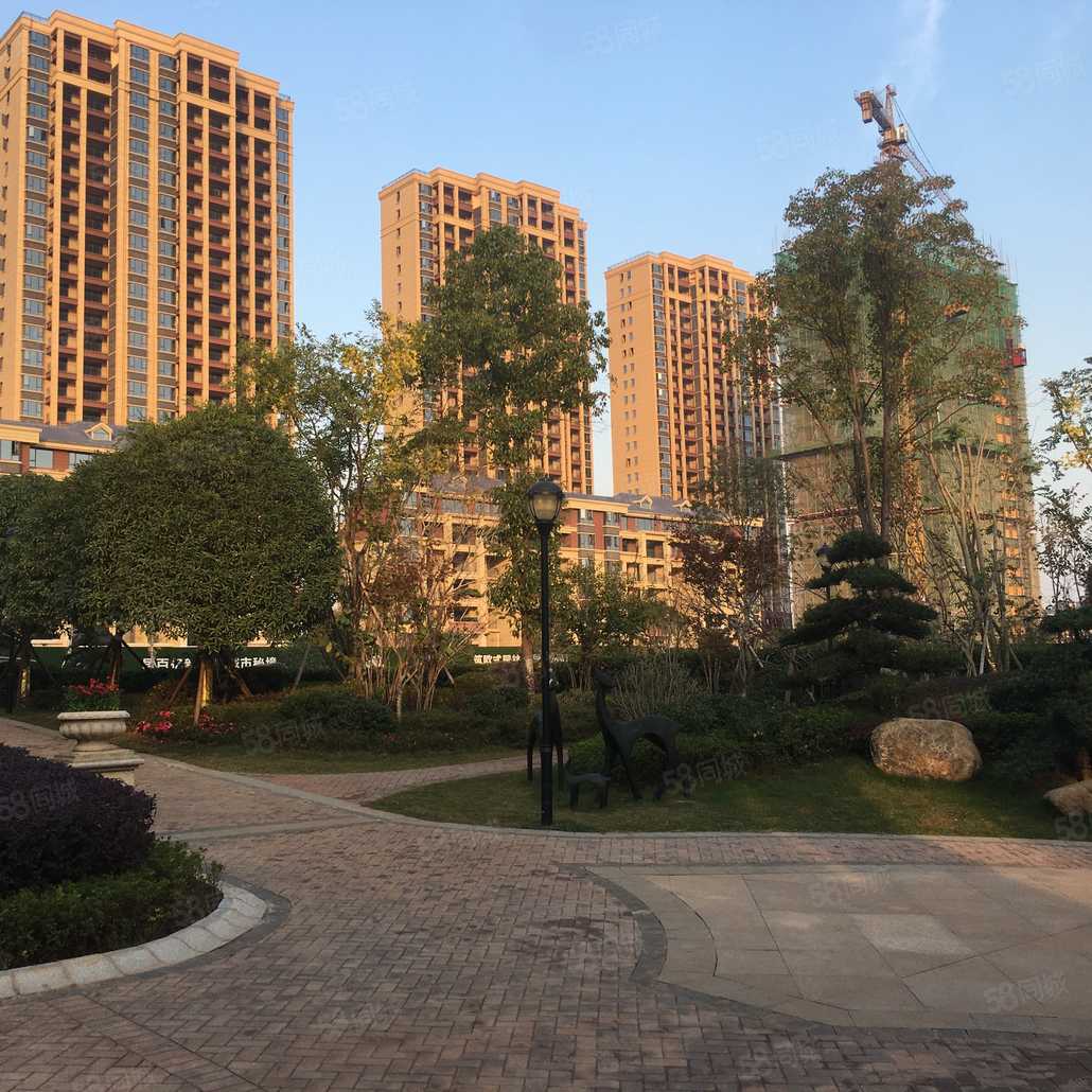 陈俊伟联系电话_置业顾问销售陈俊伟发布的盛世金龙湾楼盘动态-58同城