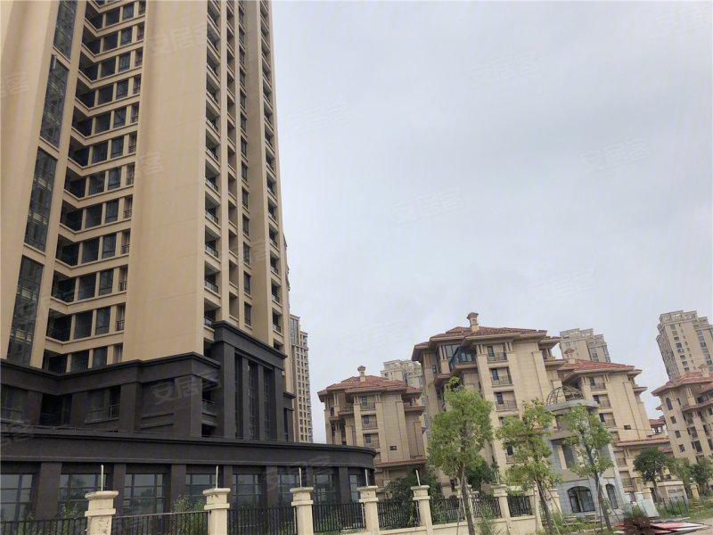 宁德楼盘 霞浦县楼盘 金顶国际
