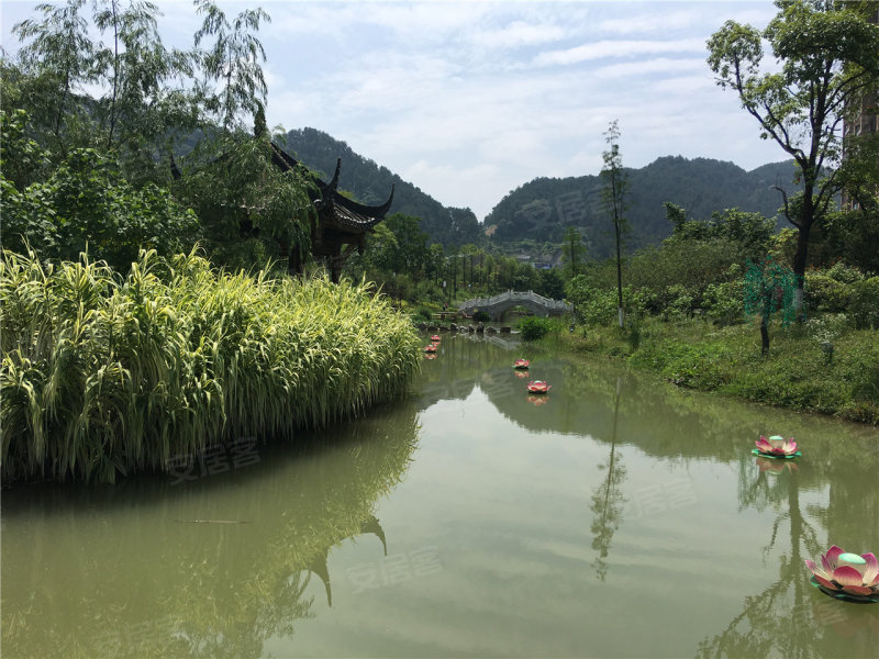 都匀市雨花湖湿地公园-实景图(32 都匀市安居客