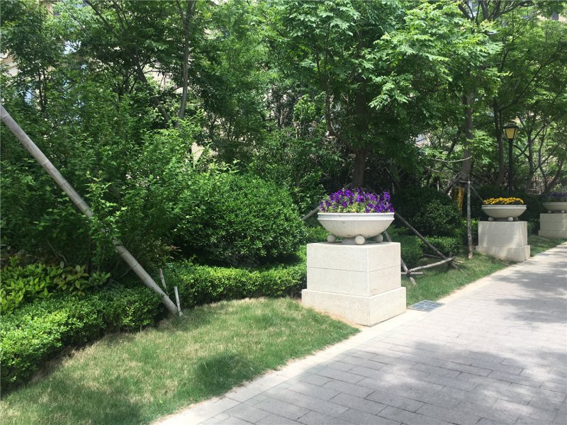 威海祥泰天泽府