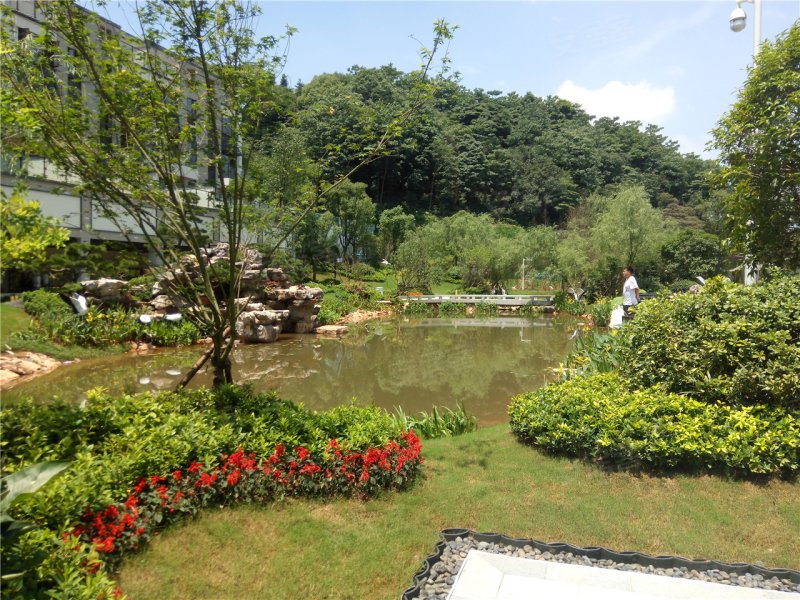 萍乡碧桂园桃源里-实景图(34) - 萍乡安居客