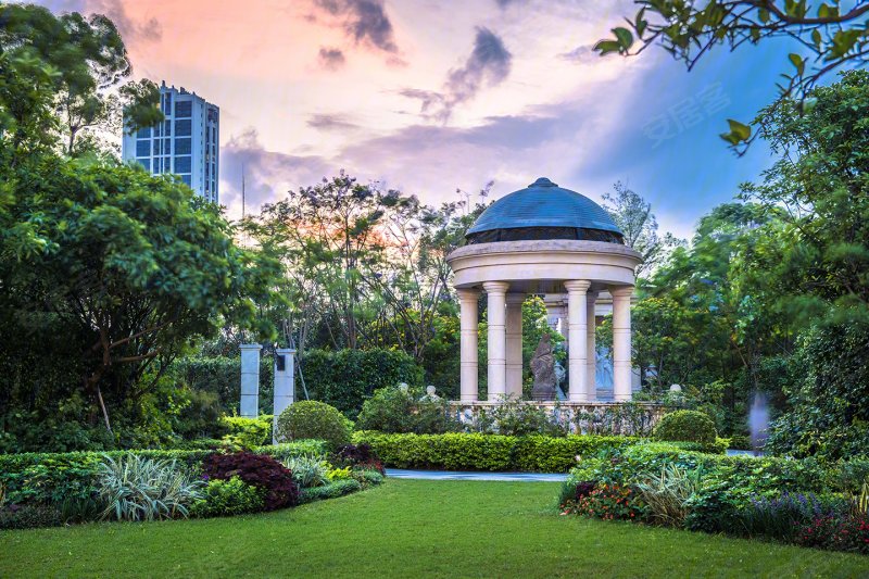 实地广州常春藤