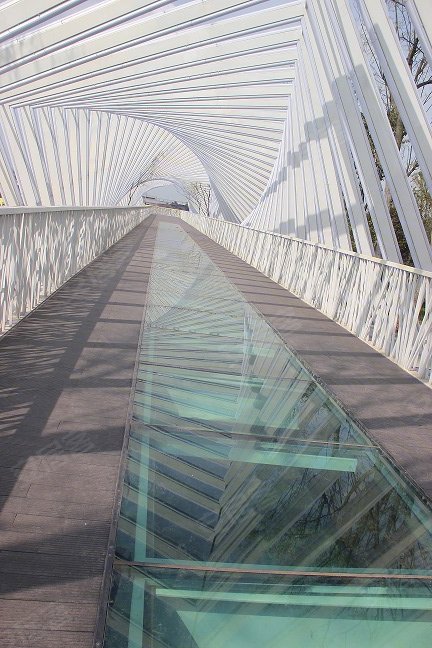 自贡云湖一号-实景图(4) - 自贡安居客