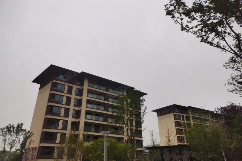 重庆星悦礼玉金湾-实景图(13) - 重庆安居客
