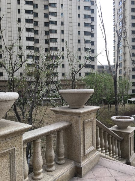 鞍山巴黎花园-实景图(44) - 鞍山安居客