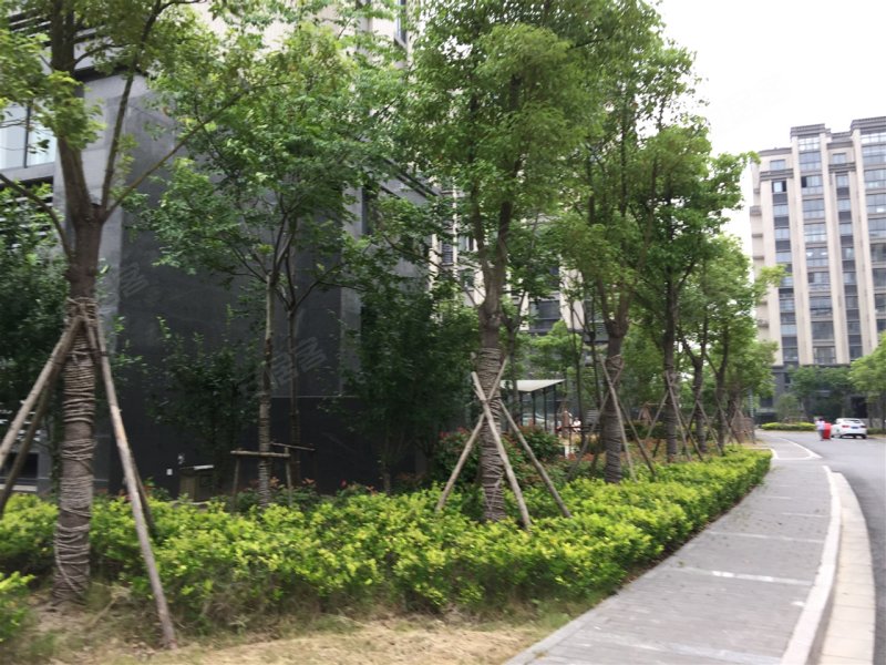 学府花园
