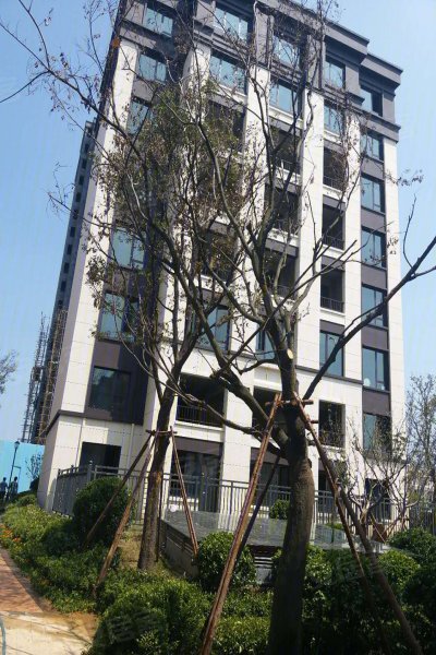 青岛楼盘 莱西市楼盘 莱西楼盘 天泰公园壹号