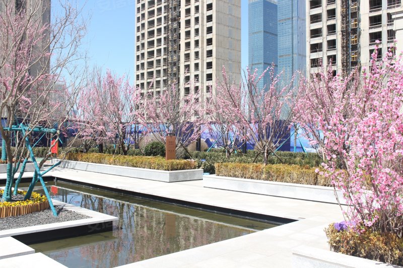 大连御东港-实景图(11) - 大连安居客