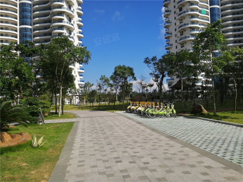 漳州楼盘 东山县楼盘 康美楼盘 君悦金銮湾