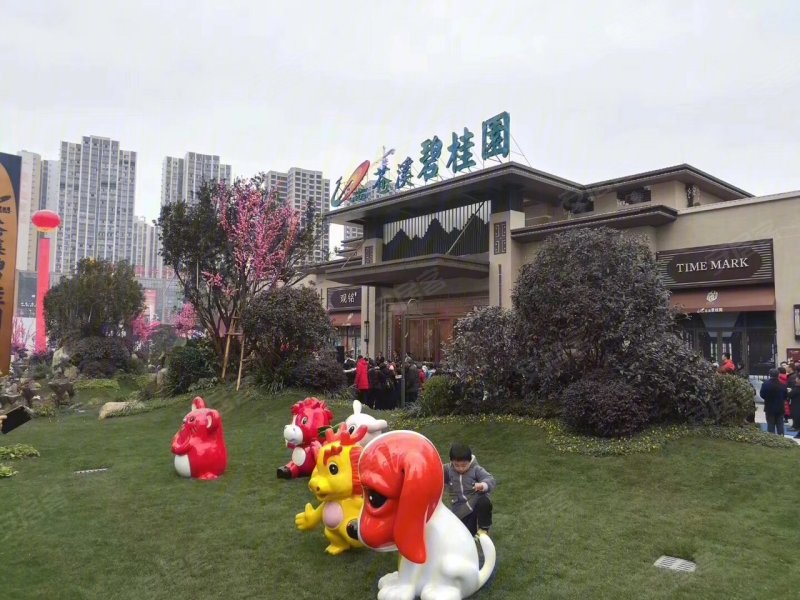 广元苍溪碧桂园-实景图(9) - 广元安居客