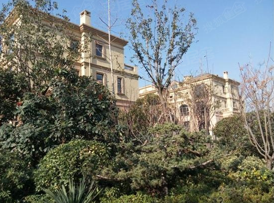 邹城鲁香山-实景图(39) - 邹城安居客