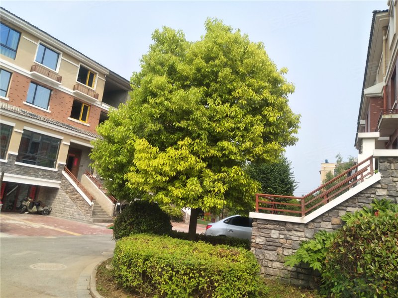 宿迁卧龙湾-实景图(10) - 宿迁安居客