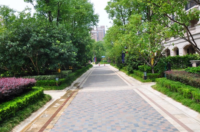 上海九龙仓兰宫-实景图(2) - 上海安居客