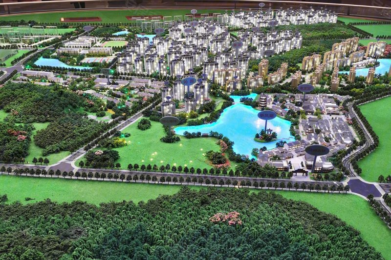 鄱阳翼天十里风荷