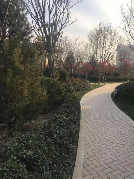 万腾磁县观澜城实景图