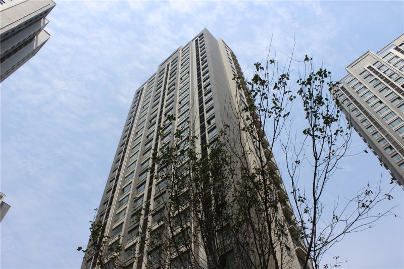 三门峡中隆滨河湾-实景图(109) - 三门峡安居客