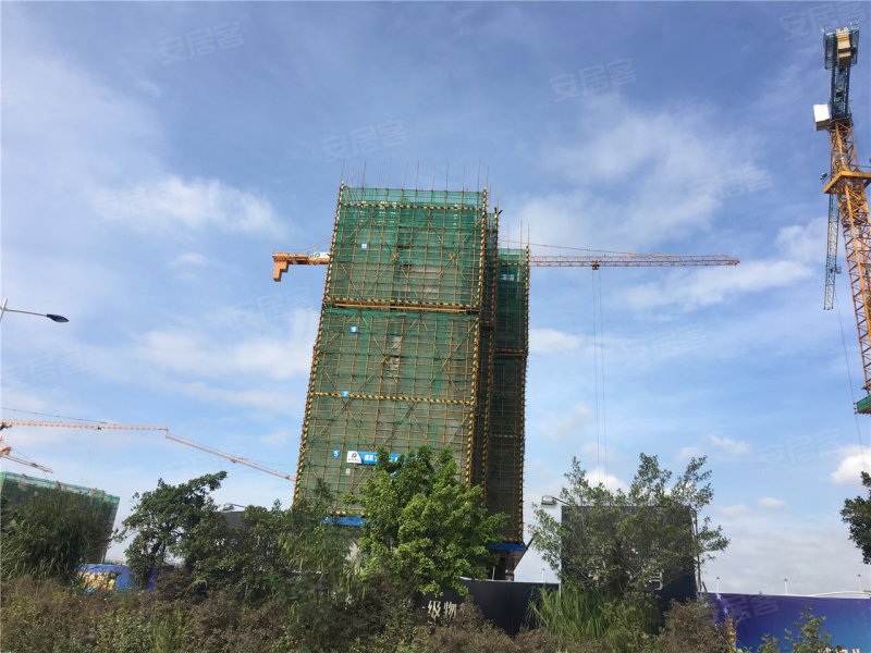 泉州保利住宅第5湾-实景图(17) - 泉州安居客
