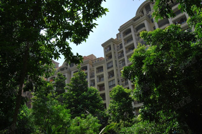 广州翡翠绿洲-实景图(16) - 广州安居客