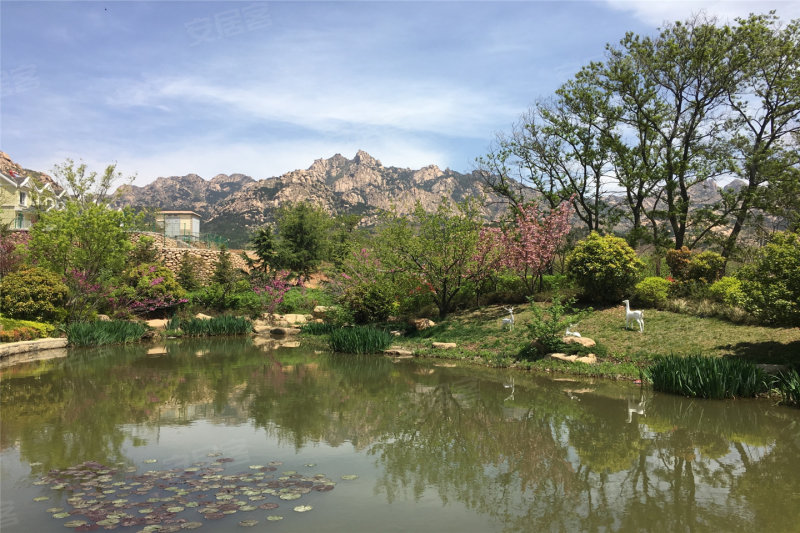 青岛大溪谷-实景图(2 青岛安居客