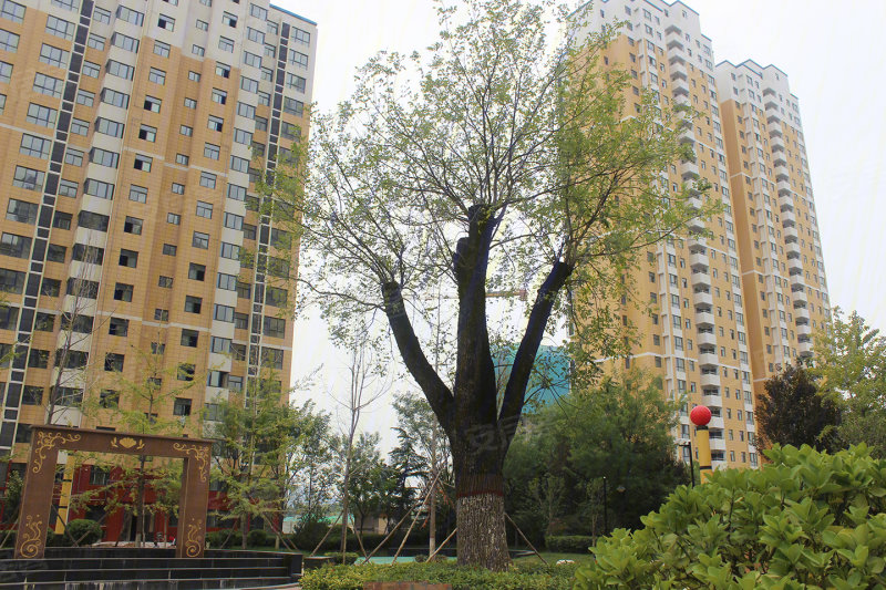 西安西港碧水湾-实景图(3 西安安居客