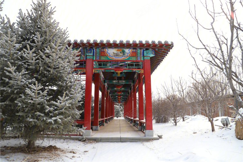 大同府二期·观和院子