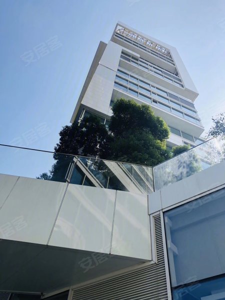 中鹰·黑森林11号