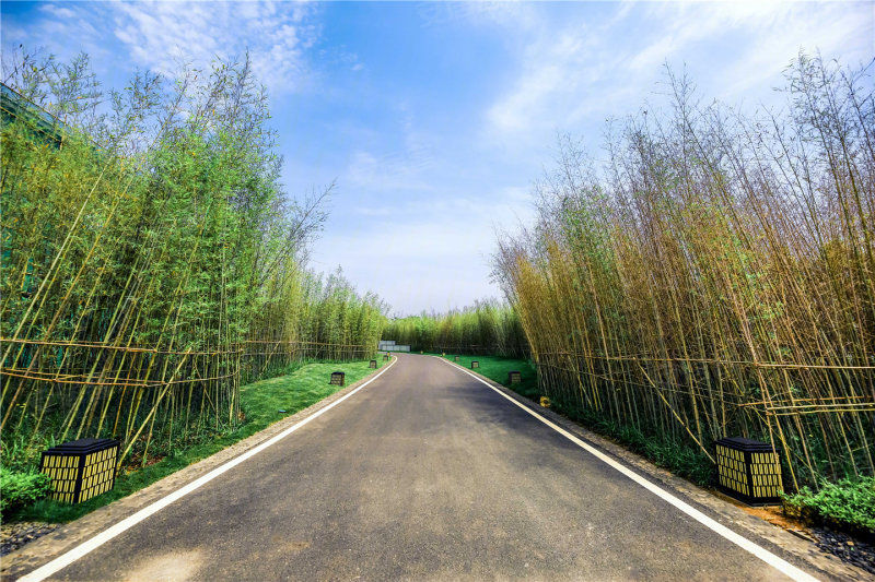 力高雍湖湾实景图