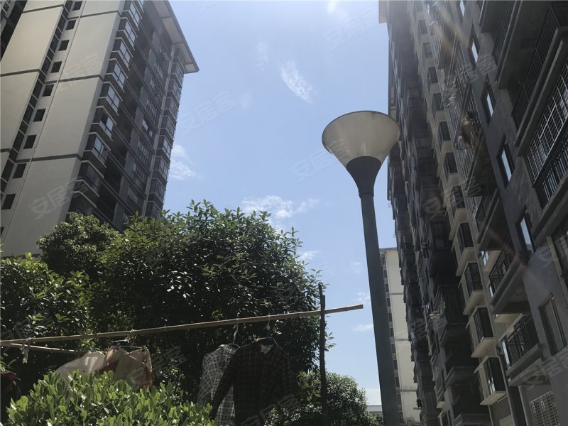 荆门君林·金桂园-实景图(15) - 荆门安居客