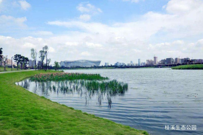 中洲锦城湖图片