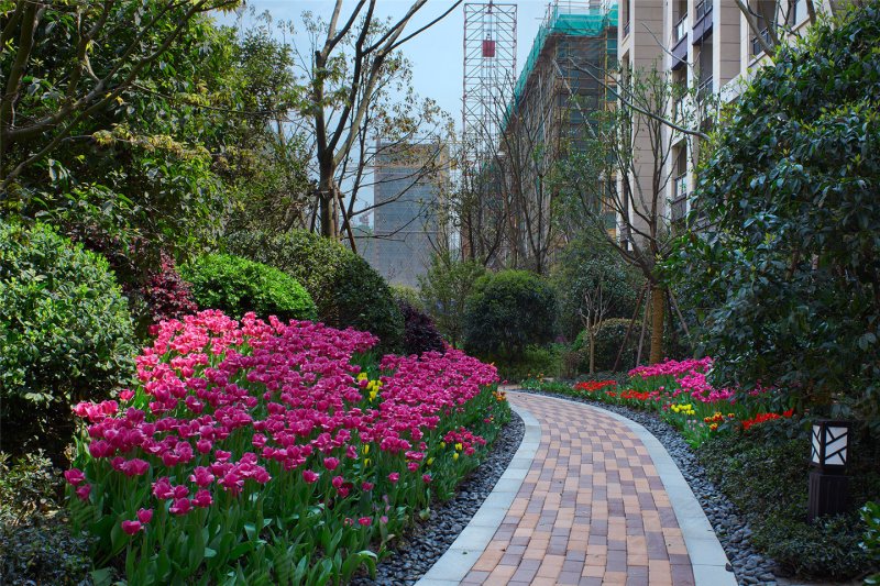 杭州万泰城章-实景图(8) - 杭州安居客