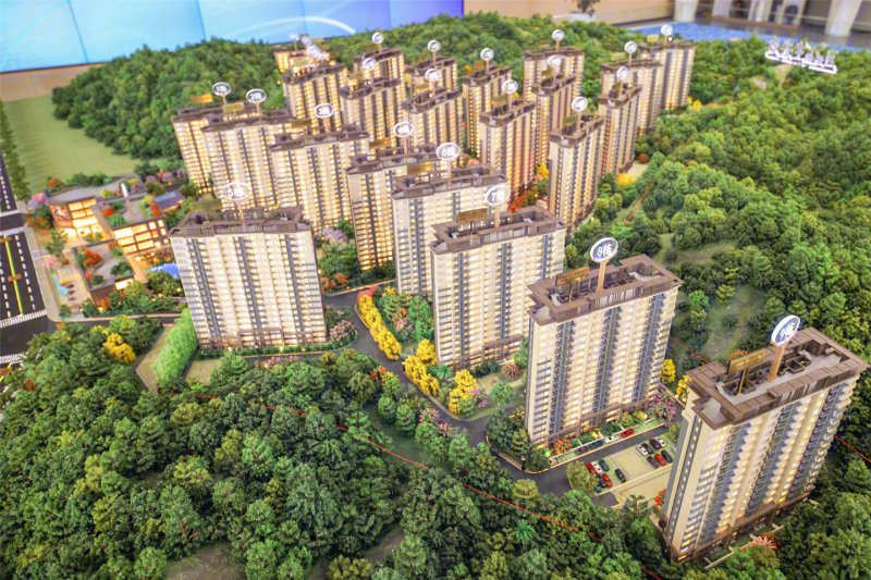 天誉鱼先生的社区