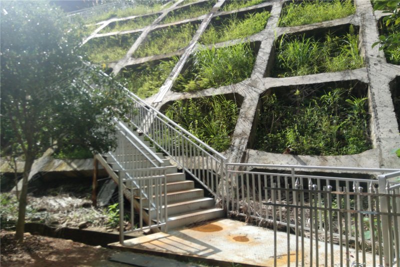 建瓯市新叶外滩-实景图(27) - 建瓯市安居客